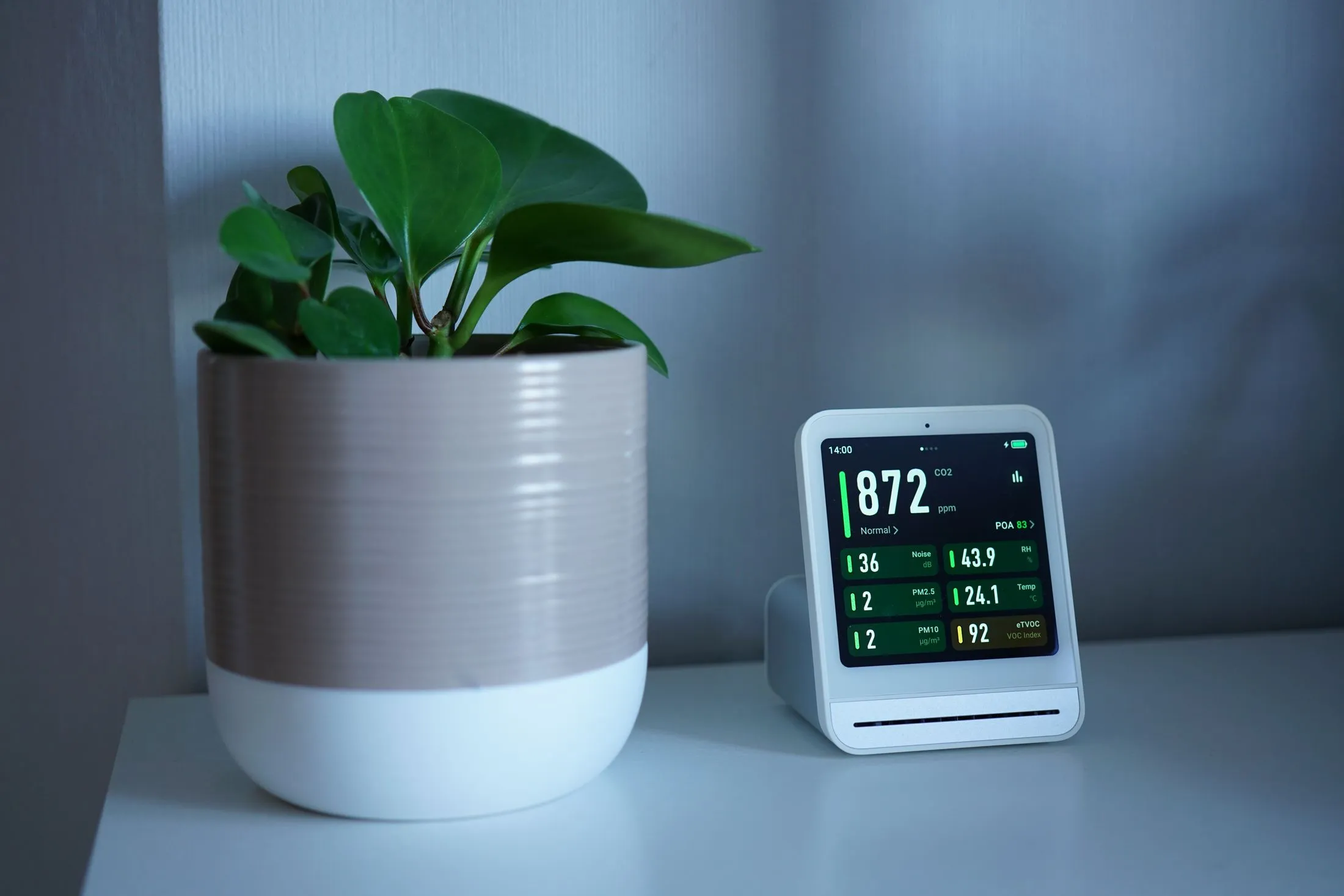 Air quality monitor on a shelf beside a houseplant